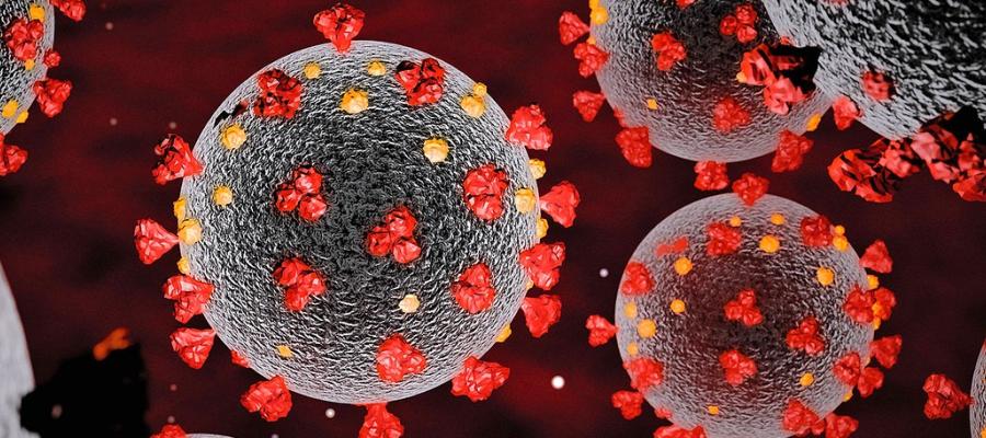 corona-virus-116-resimage_v-variantBig24x9_w-1216.jpg